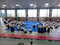 Shihan tłumaczy szczegóły na środku maty